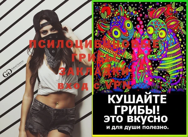 амф Алексин