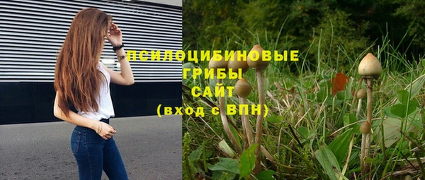 PSILOCYBIN Алзамай