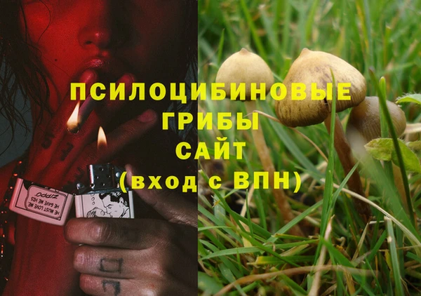 амф Алексин