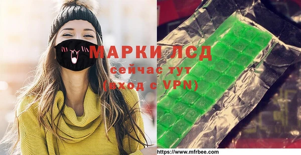 PSILOCYBIN Алзамай