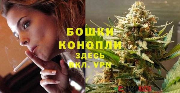 PSILOCYBIN Алзамай