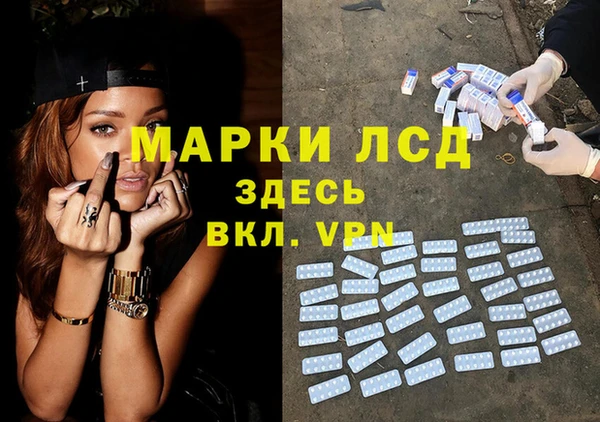 PSILOCYBIN Алзамай