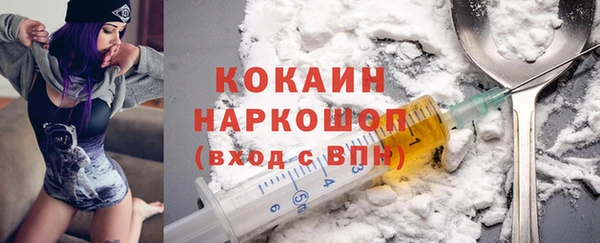 PSILOCYBIN Алзамай