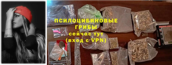 PSILOCYBIN Алзамай