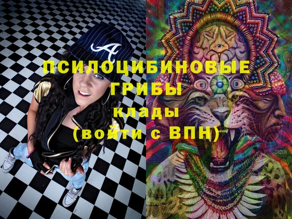 амф Алексин