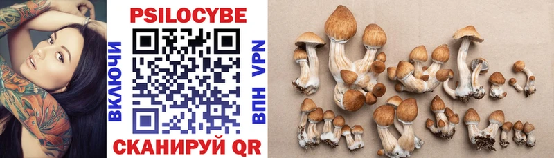 Псилоцибиновые грибы мухоморы  OMG зеркало  Полярные Зори 